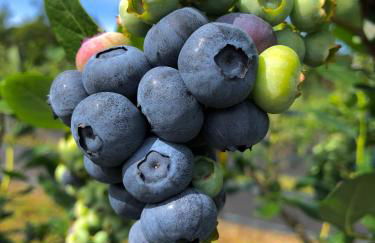 Quinta de Requeixo - Foto 57