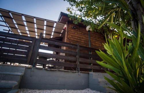 ΛΩΤΟΣ - Photo 16