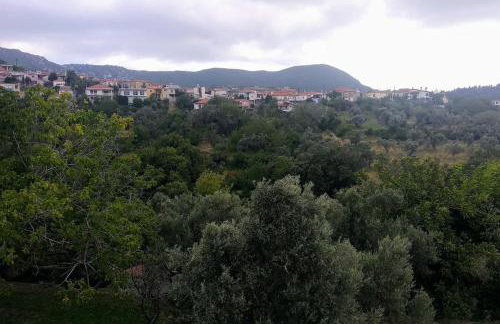 Green Garden appartment with mountain view, Vitala - Foto 5