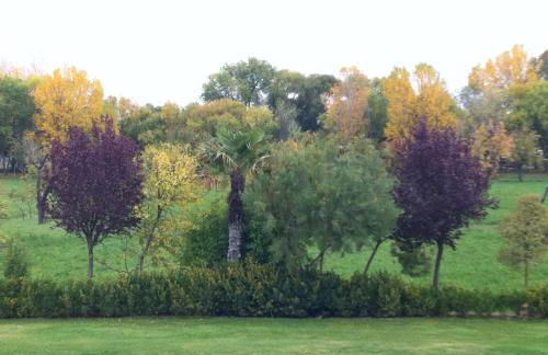 La Alberca - Foto 24