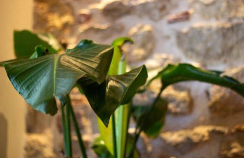 Serenity Luxury Estates - Foto 48