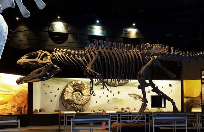 The Paleontological Museum Ticket - Foto 1