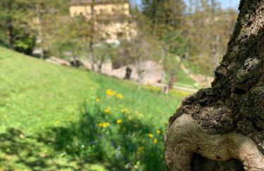 Borgo La Morra - Photo 72