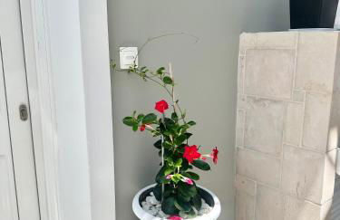 Aiginetan Apartments - Foto 33