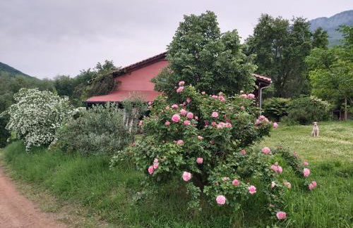 The Strawhouse under the mountain - Foto 31