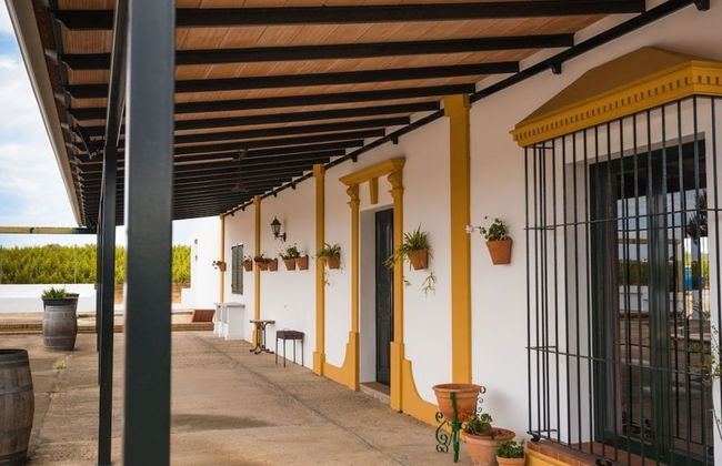 Casa Rural El Lagar de Doñana - Photo 33