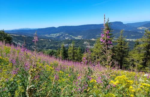 Duplex 59m2 - proche centre - balcon plein sud - Foto 10