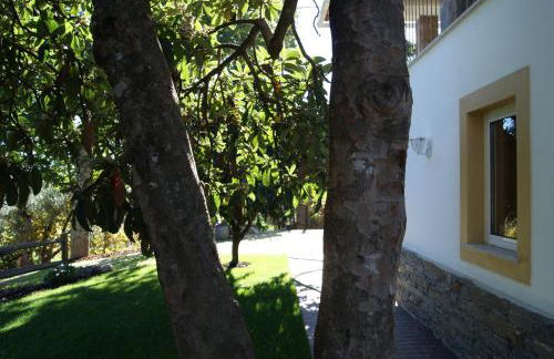 Casa De Santo Antão - Turismo Rural - Foto 44