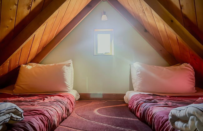 Te Tiro Accommodation - Foto 14