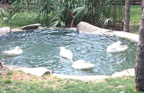 Apartamento Turistico Cigüeña de Arguedas - Foto 51