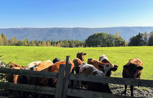 Modern Mountain Cabin - 3 Bedrooms - Sleeps 7 - Foto 44