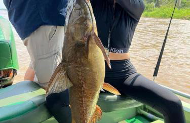 River X House - Foto 42