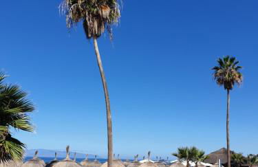 Mareverde F - Foto 27