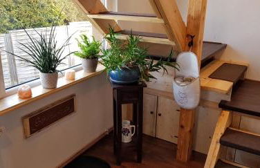 Ferienwohnung Malu Sol im Harz - stilvoll, gemütlich, tierfreundlich - mit Garten - Foto 10