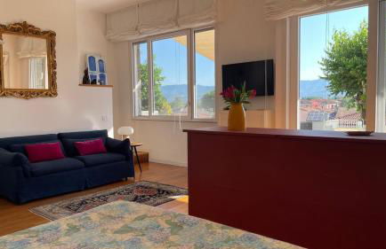 plumbago blue - Foto 3