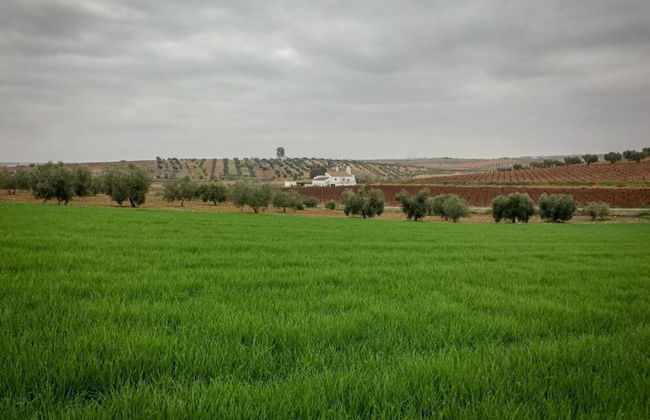 Cozy Villa in the Middle of the Achterhoek - Foto 45