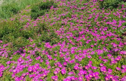 Podere Le Volpaie, Volterra, Tuscany - Foto 42