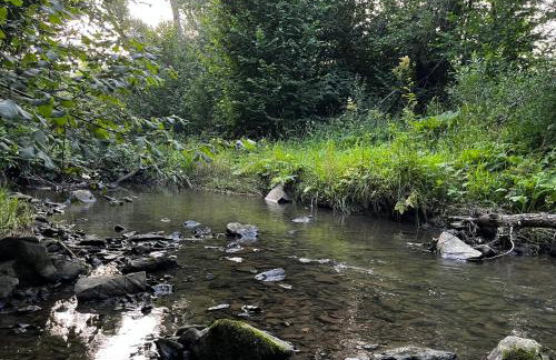Ośrodek VolfCamp Kwaszenina - Foto 64