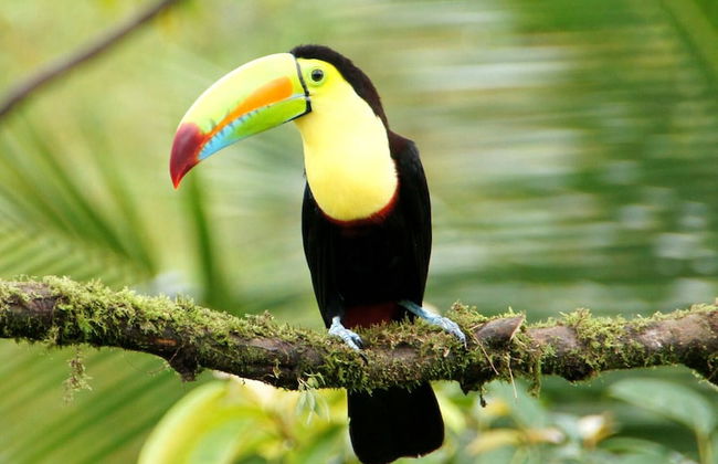 Hermosa vista al Mar y a la Montaña I Cabañas Cochapunko - Foto 20