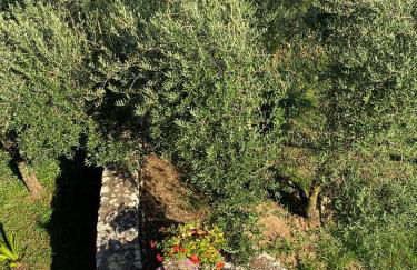 Casa Vacanze La Selva - Foto 28