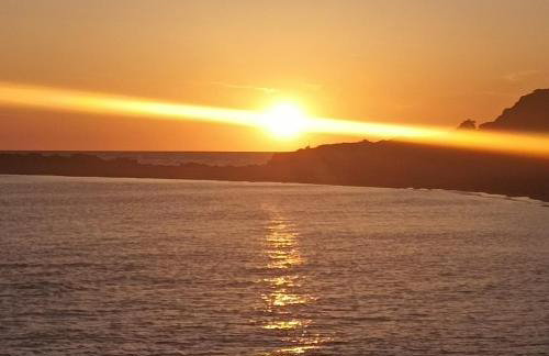 Kyllini am Meer relaxen mit Hund - Foto 18