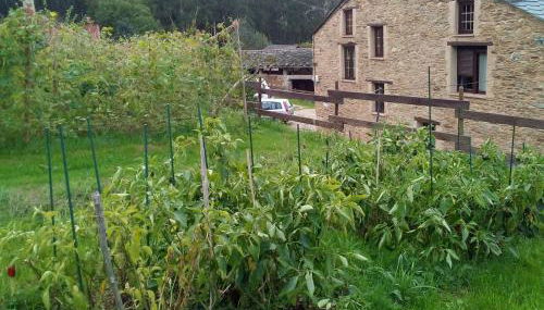 Casa o Furco - Foto 3