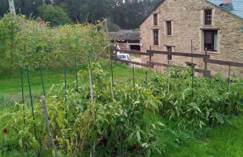 Casa o Furco - Foto 3