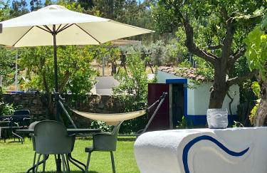 Quinta Alfaval - Foto 54