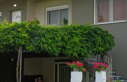 Xrysa's House - Foto 57