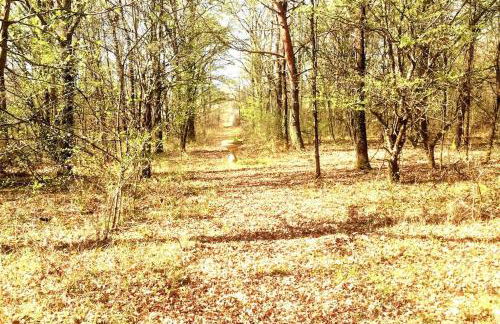 Le mur des beaunes - Photo 38