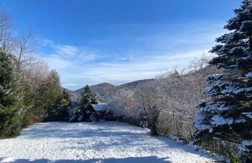 Haus am Sagenweg - Foto 21