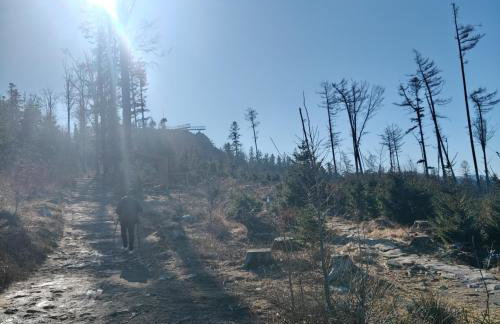 Apartament ZłotogórSKI Lądek-Zdrój - Foto 35