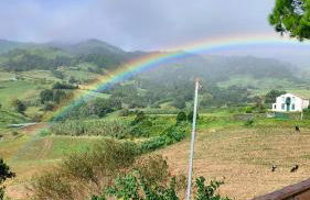 Casa Xadrez - Photo 20