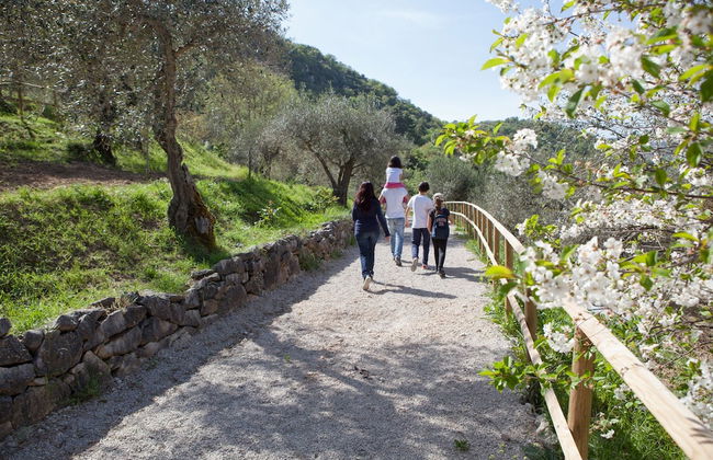 Agriturismo Al Poggetto - Photo 49