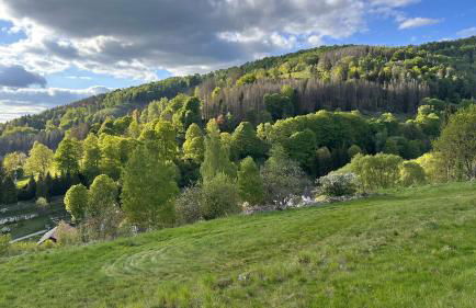 Ferienhaus Roßbachtal - Foto 34