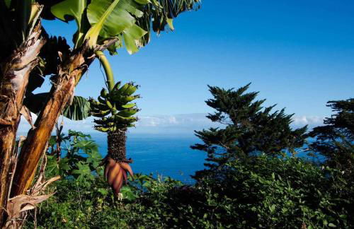 CASAS EN FINCA ECOLÓGICA LA ESPIRAL, NATURALEZA, CALMA Y VISTAS al MAR, - Foto 61