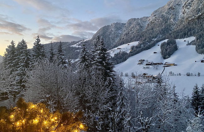Alpbach Bergwald - Foto 18