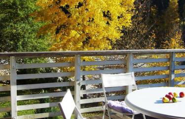 Ferienwohnungen Schönbachtal - Foto 26