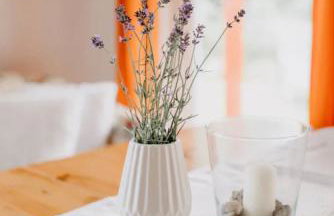 Haus Hanni Zarrentin am Schaalsee - Foto 22