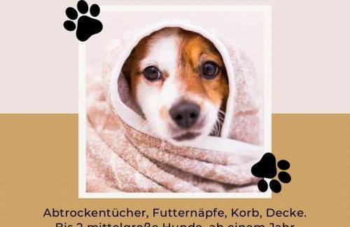 Ferienwohnung Drachenhaus WIR holen Sie aus dem Alltag raus - Foto 27