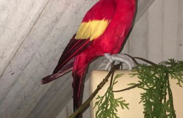 Haus am Markt - Foto 41