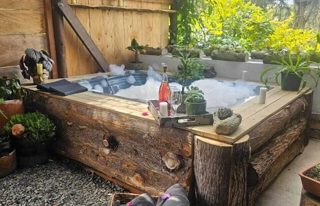 ecohotel zona 7 - Photo 53