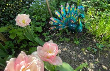 Apartment Landfeeling - Foto 23