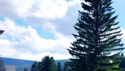 Apartament Górski Widok - Foto 4