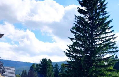 Apartament Górski Widok - Foto 4