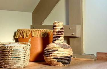 La sauvagine les pieds dans l'eau - Foto 14