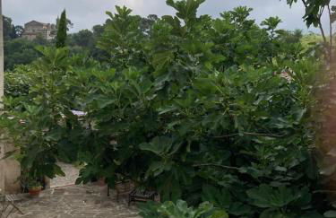 ChezMathilde à LIMOUX - Foto 21