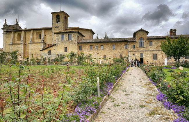 Agriturismo Casa Greppo - Il Mandorlo - Foto 80