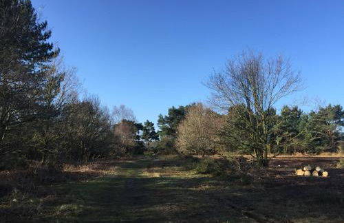 Chez Marguerite Shepherd's Hut with Private Sauna, Outside Bath - Photo 35
