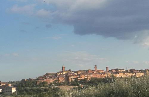 La Piccola Loggia - Foto 15